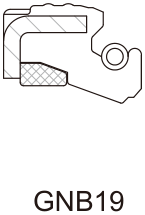 Тип: GNB19