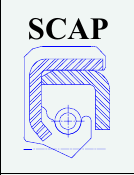 Тип: SCAP