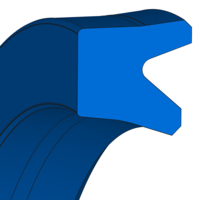 T20
