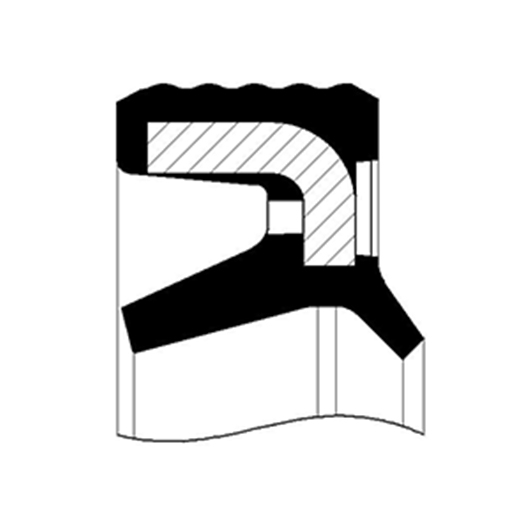 Тип: L2TL